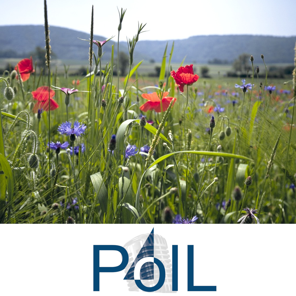 PolL - der Podcast für lebenslanges Lernen