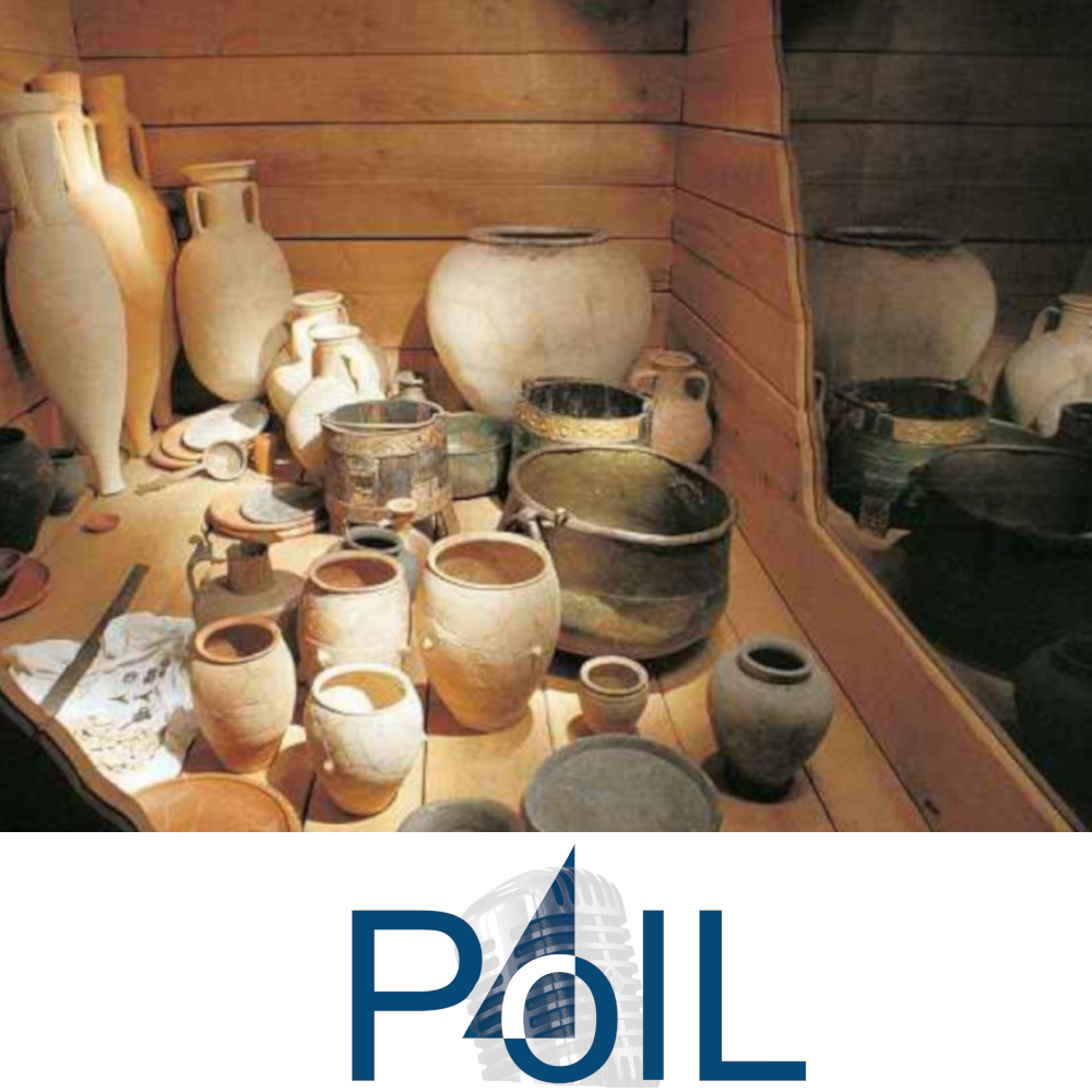 PolL - der Podcast für lebenslanges Lernen